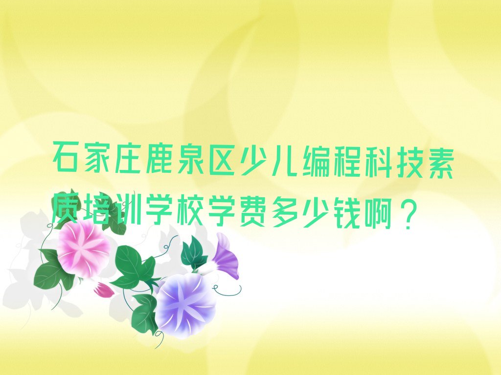 石家庄少儿编程培训中心