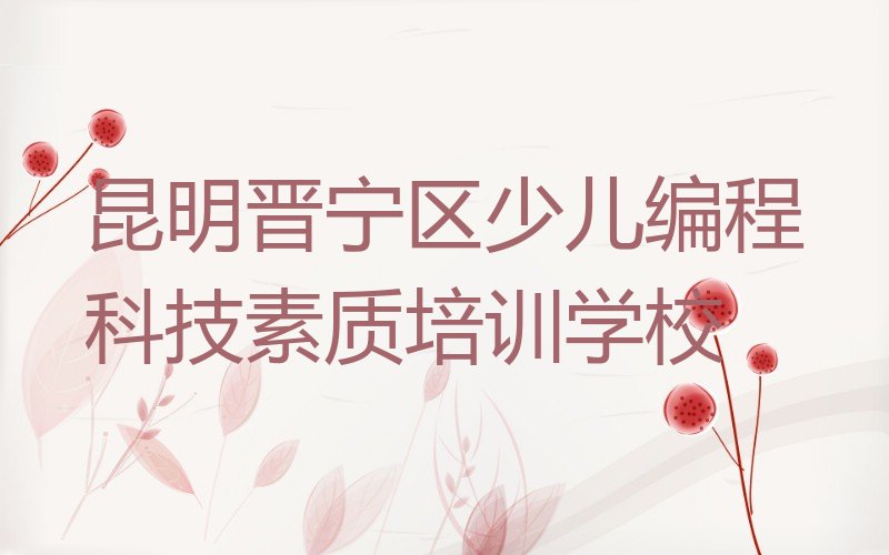 昆明晋宁区少儿编程科技素质培训学校