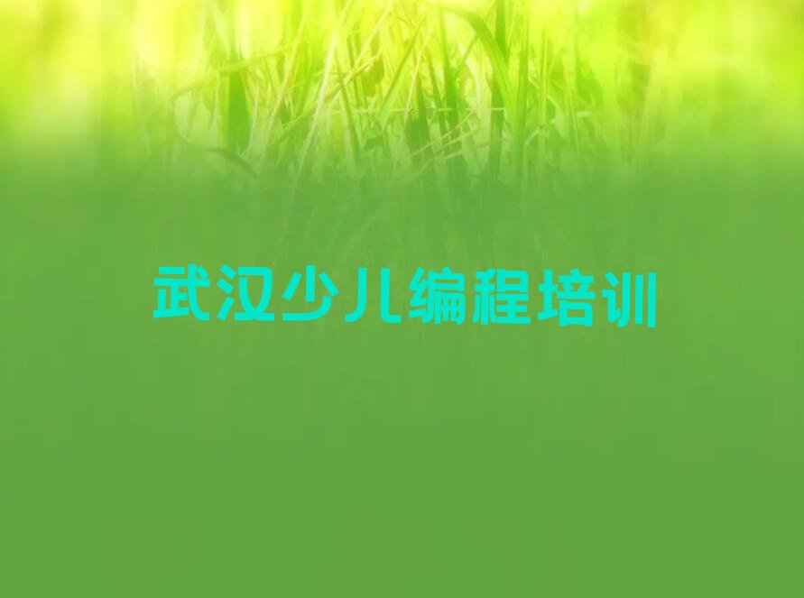 十大武汉想学机器人编程哪个学校好名单今日一览排行榜排行榜